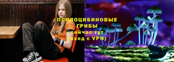 трава Гусев