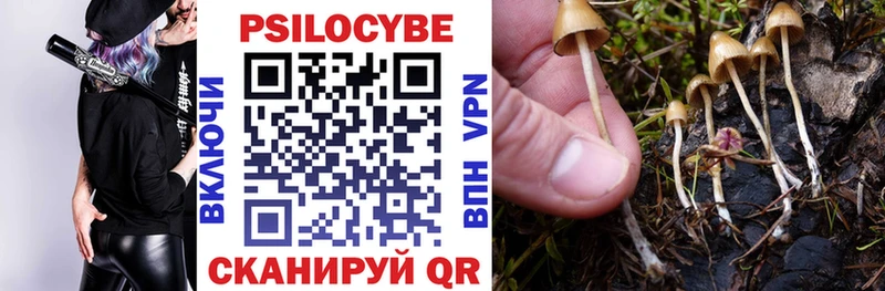 Галлюциногенные грибы мухоморы  Купить закладки  Вятские Поляны 