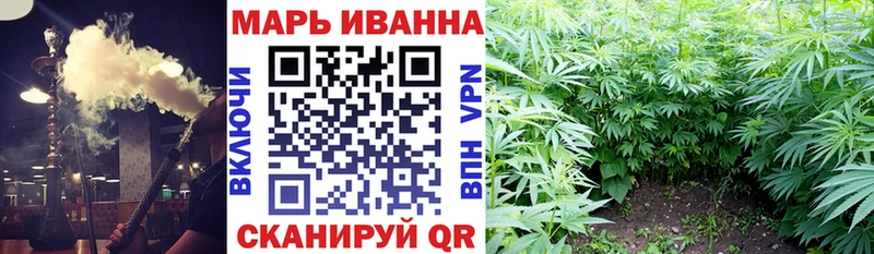 Купить где Вятские Поляны Бошки Шишки ГИДРОПОН